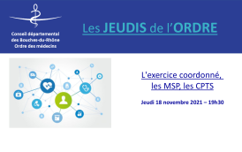 #17 [JDO] - miniature