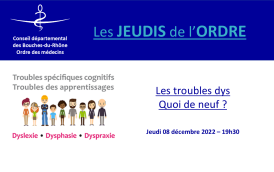 #27 [JDO] - miniature