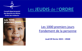 #29 [JDO] - miniature