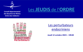 #33 [JDO] - miniature